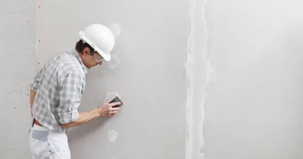 Best Mold Prevention Services  in Elberta, AL