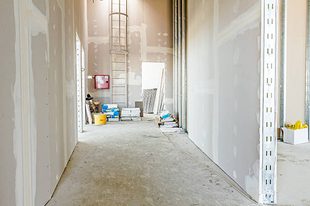 Best Post-Construction Mold Inspection  in Elberta, AL