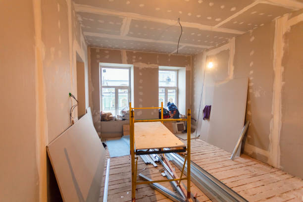 Best Black Mold Removal  in Elberta, AL